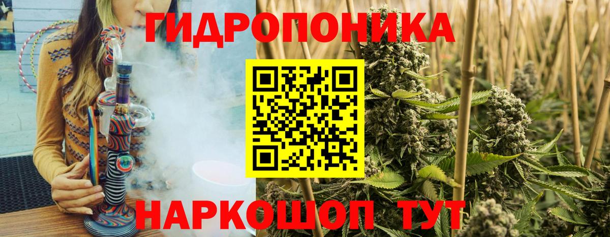МАРИХУАНА планчик  Бошки марихуана Bruce Banner  Каменка  Вход с VPN 